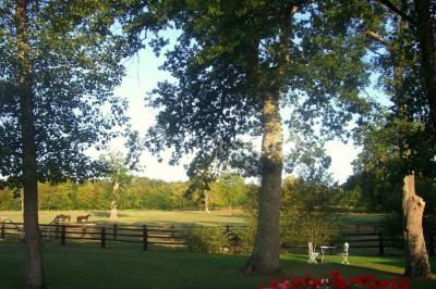 Domaine De La Tour - photo 3