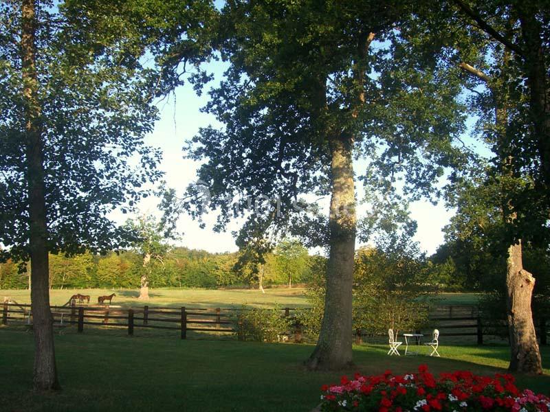 Domaine De La Tour - galerie - photo 3