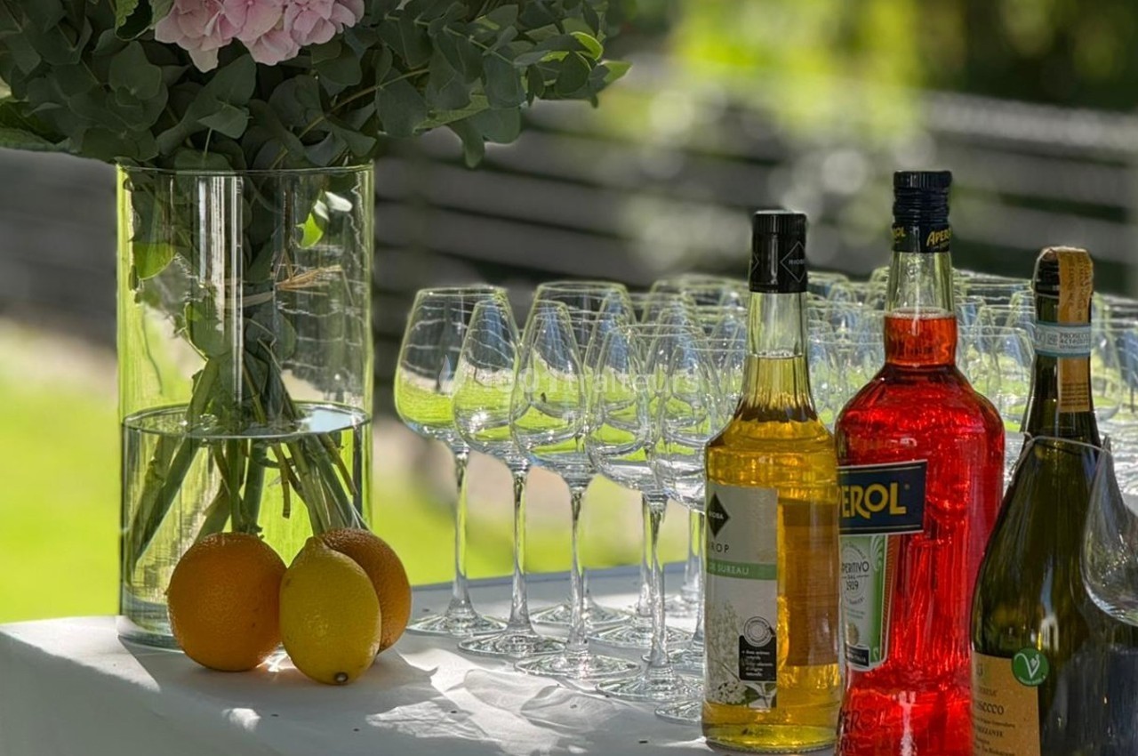 Vase avec fleurs, bouteilles d'alcool, verres à pied et citrons disposés sur une table en extérieur.