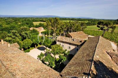 Terrain de tennis entouré d'arbres et de végétation, avec un olivier au premier plan.