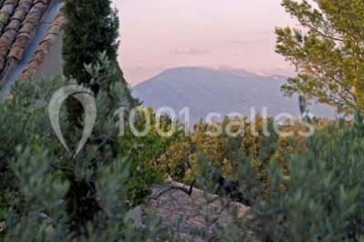 Terrain de tennis entouré d'arbres et de végétation, avec un olivier au premier plan.