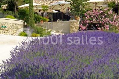 Terrain de tennis entouré d'arbres et de végétation, avec un olivier au premier plan.