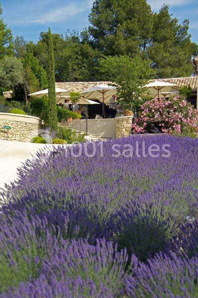 Champ de lavande en premier plan avec une terrasse ombragée et des arbres en arrière-plan sous un ciel bleu.