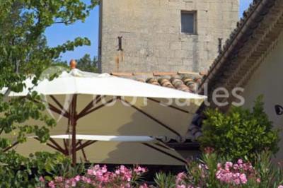 Terrain de tennis entouré d'arbres et de végétation, avec un olivier au premier plan.