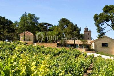 Terrain de tennis entouré d'arbres et de végétation, avec un olivier au premier plan.