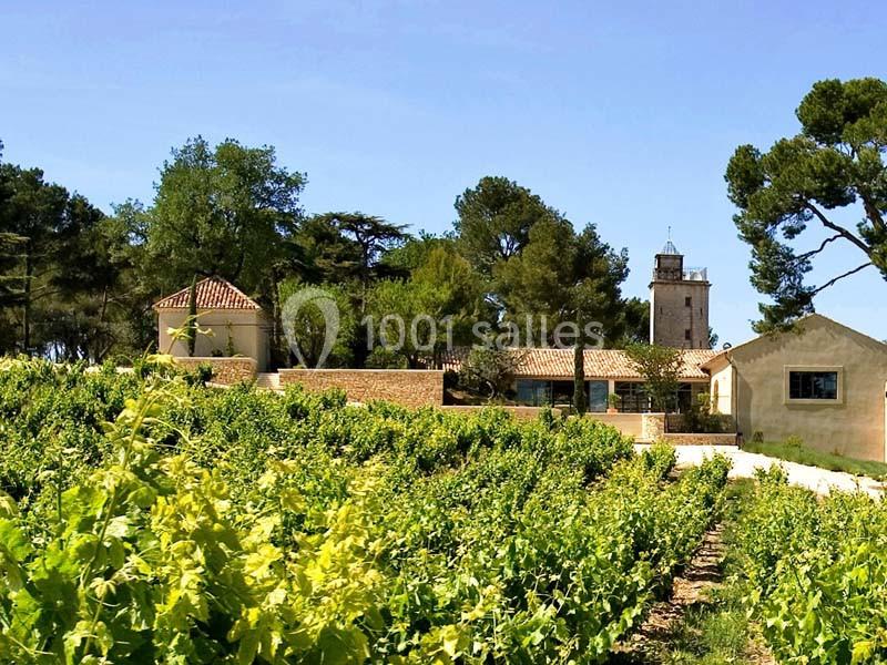 Vignes verdoyantes devant des bâtiments en pierre et une tour entourés d'arbres sous un ciel bleu.