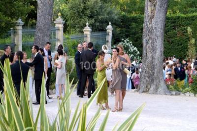 Terrain de tennis entouré d'arbres et de végétation, avec un olivier au premier plan.