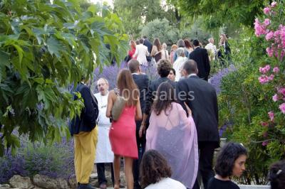 Terrain de tennis entouré d'arbres et de végétation, avec un olivier au premier plan.