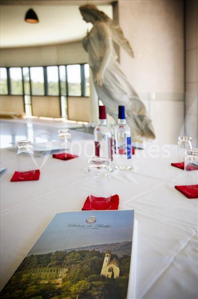 Château De Bellet - galerie - photo 14