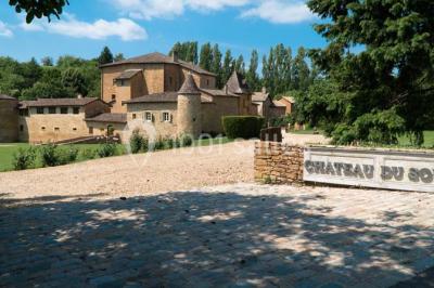 Château Du Sou - photo 2