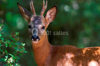 Miniature Location salle Grasse (Alpes-Maritimes) - Golf Du Claux-amic #6 Location salle Grasse (Alpes-Maritimes) - Golf Du Claux-amic #16