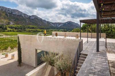Miniature Location salle Eyguières (Bouches-du-Rhône) - Domaine du Vallon des Glauges #15 Un couple en tenue de mariage pose dans un champ d'oliviers sous une lumière douce.