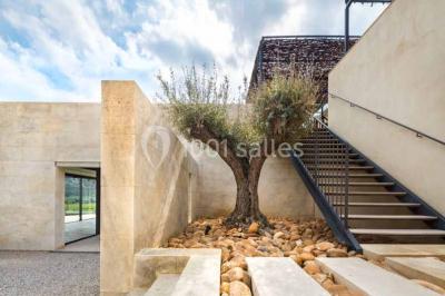 Miniature Location salle Eyguières (Bouches-du-Rhône) - Domaine du Vallon des Glauges #13 Un couple en tenue de mariage pose dans un champ d'oliviers sous une lumière douce.