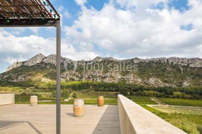 Miniature Location salle Eyguières (Bouches-du-Rhône) - Domaine du Vallon des Glauges #17 Un couple en tenue de mariage pose dans un champ d'oliviers sous une lumière douce.