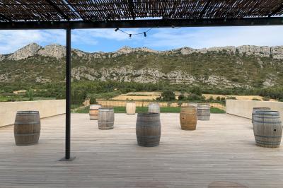 Miniature Location salle Eyguières (Bouches-du-Rhône) - Domaine du Vallon des Glauges #9 Un couple en tenue de mariage pose dans un champ d'oliviers sous une lumière douce.