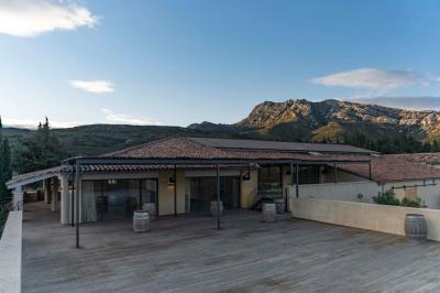 Miniature Location salle Eyguières (Bouches-du-Rhône) - Domaine du Vallon des Glauges #10 Un couple en tenue de mariage pose dans un champ d'oliviers sous une lumière douce.