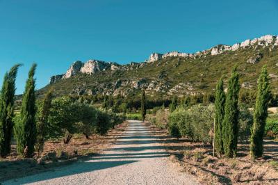 Miniature Location salle Eyguières (Bouches-du-Rhône) - Domaine du Vallon des Glauges #19 Un couple en tenue de mariage pose dans un champ d'oliviers sous une lumière douce.