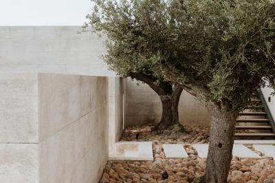 Miniature Location salle Eyguières (Bouches-du-Rhône) - Domaine du Vallon des Glauges #14 Un couple en tenue de mariage pose dans un champ d'oliviers sous une lumière douce.
