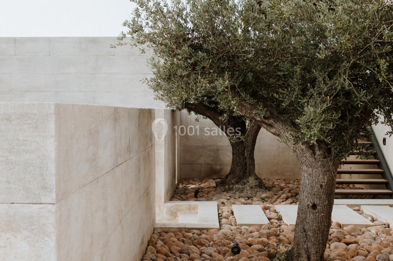 Deux oliviers entourés de galets dans une cour moderne aux murs en pierre beige et un escalier en arrière-plan.