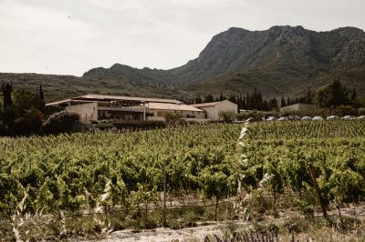Miniature Location salle Eyguières (Bouches-du-Rhône) - Domaine du Vallon des Glauges #31 Un couple en tenue de mariage pose dans un champ d'oliviers sous une lumière douce.