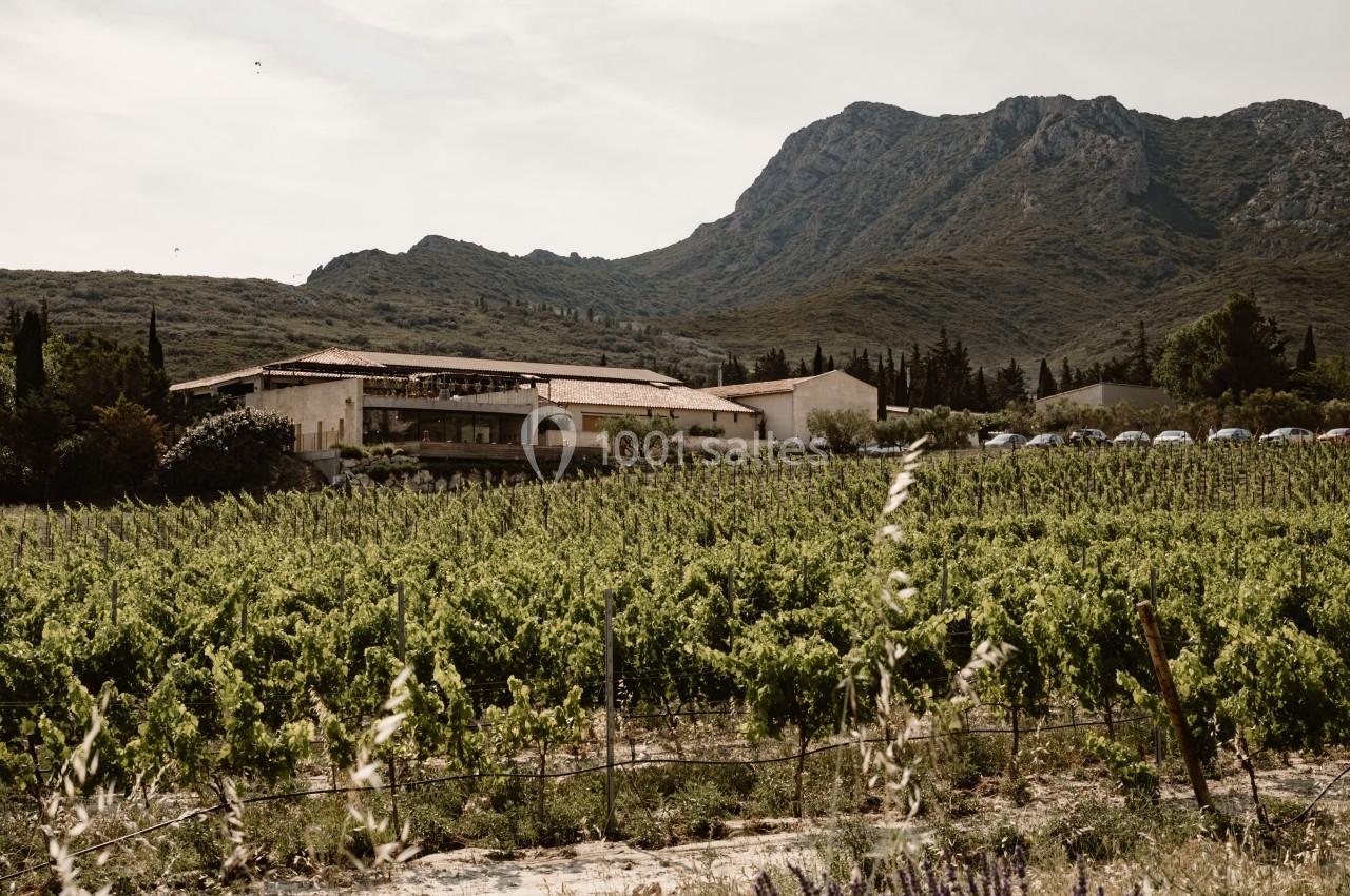 Vignoble verdoyant au premier plan avec un bâtiment en pierre et des montagnes en arrière-plan sous un ciel clair.