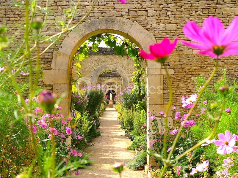 Allée fleurie bordée de cosmos roses menant à une arche en pierre dans un jardin entouré de murs en pierre.