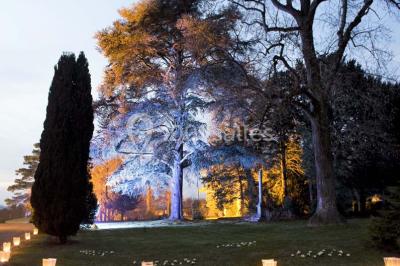 Château De Montgobert - photo 5