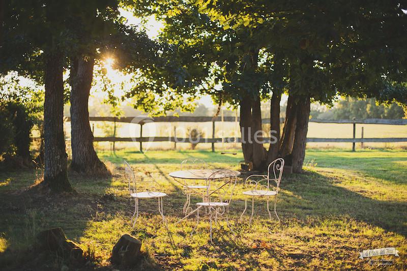 Mobilier de jardin en fer forgé sous des arbres, éclairé par une lumière de fin de journée dans un cadre champêtre.