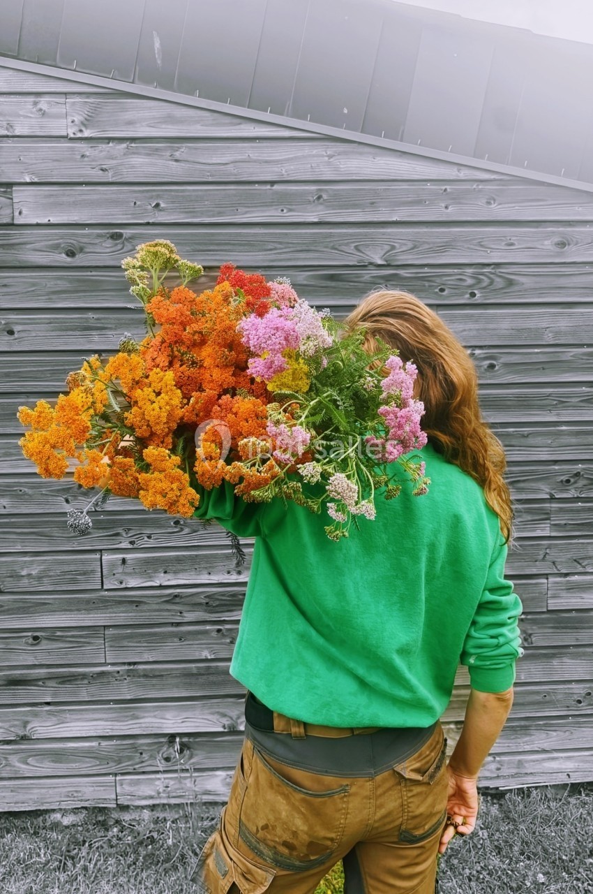 Une personne de dos portant un grand bouquet de fleurs colorées devant un mur en bois gris.