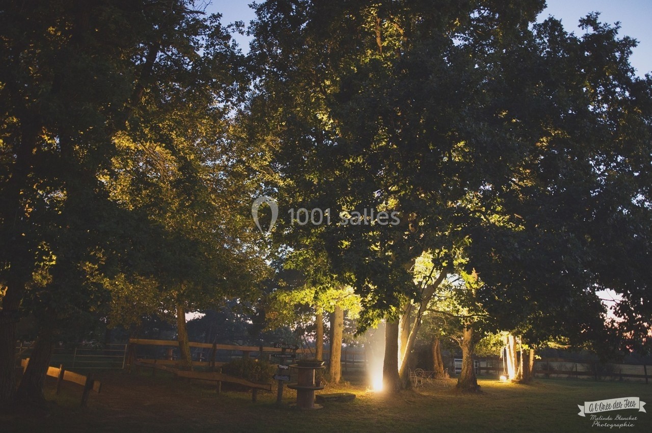 Éclairage nocturne diffus à travers des arbres dans un jardin, avec des bancs et une clôture en arrière-plan.