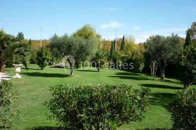 Location salle Saint-Martin-de-Crau (Bouches-du-Rhône) - Les Salons De Bagatelle #14