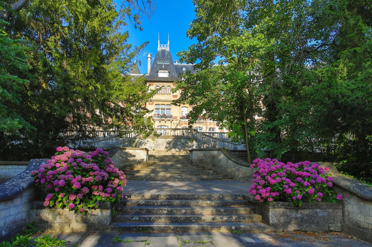 Escalier en pierre bordé d’hortensias roses menant à un bâtiment ancien entouré d’arbres.