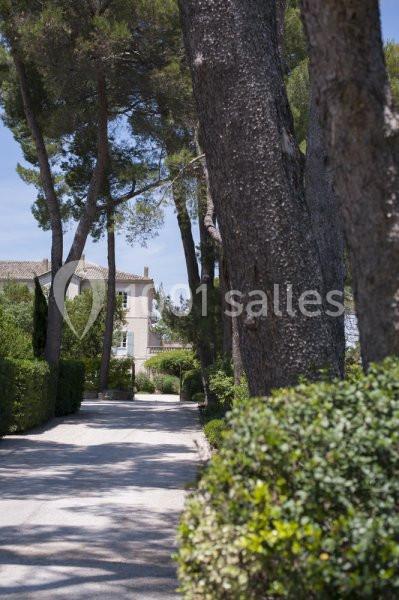 Allée bordée d'arbres et de buissons menant à une maison claire sous un ciel bleu.