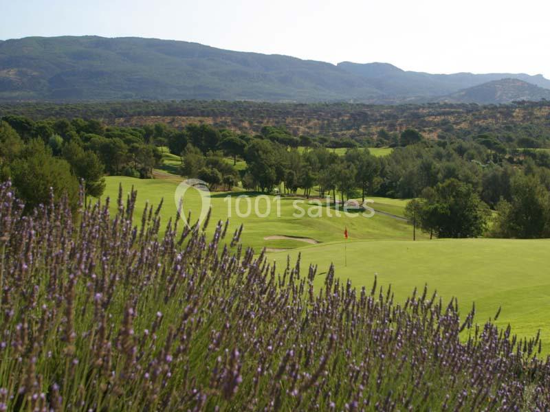 Champ de lavande au premier plan avec un terrain de golf verdoyant et des collines boisées en arrière-plan.