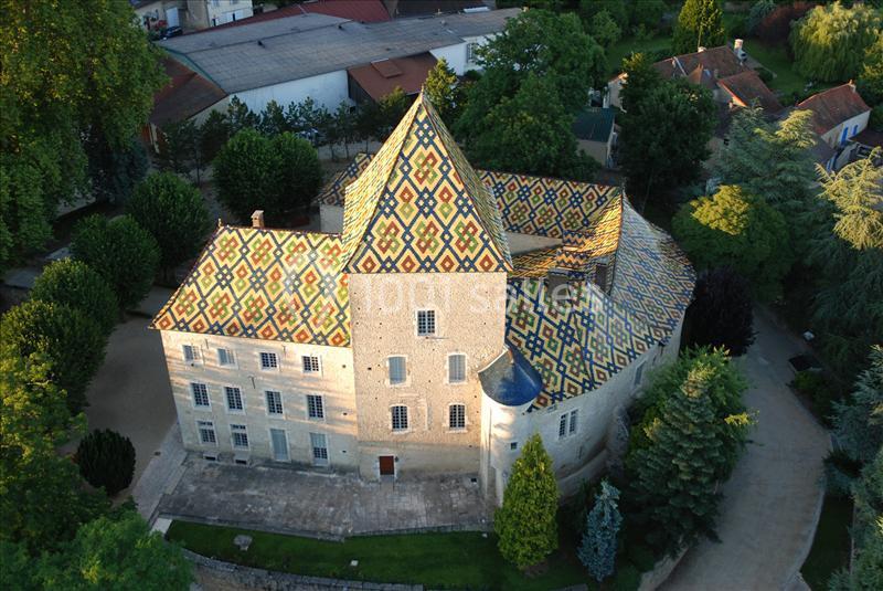 Location salle Santenay (Côte-d'Or) - Château De Santenay #1