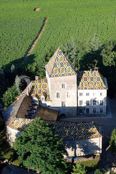 Location salle Santenay (Côte-d'Or) - Château De Santenay #2 Location salle Santenay (Côte-d'Or) - Château De Santenay #2