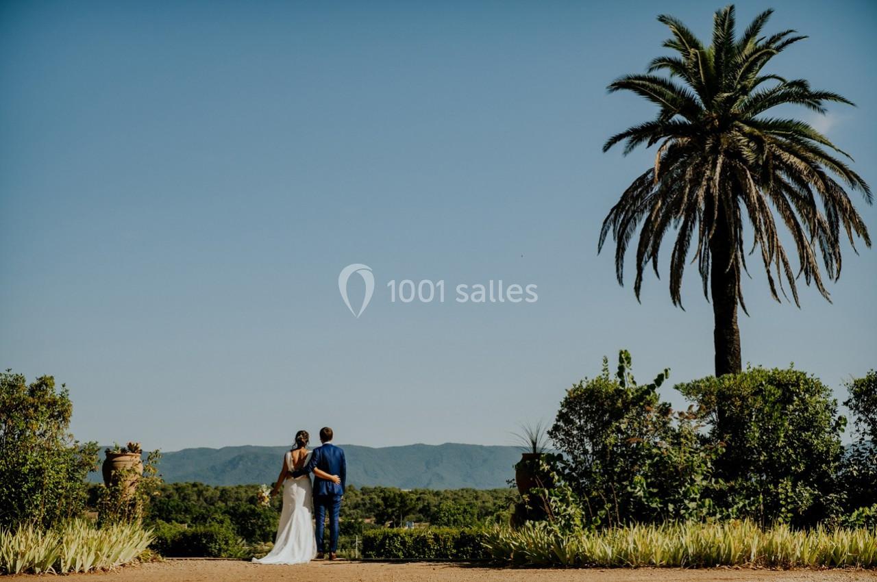 Location salle Le Cannet-des-Maures (Var) - Château Colbert Cannet #4 Un couple de dos, en tenue de mariage, regarde un paysage verdoyant avec une grande palme sous un ciel dégagé.