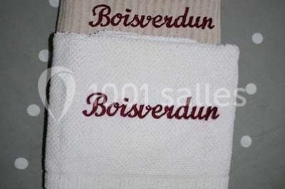Château De Boisverdun - photo 1