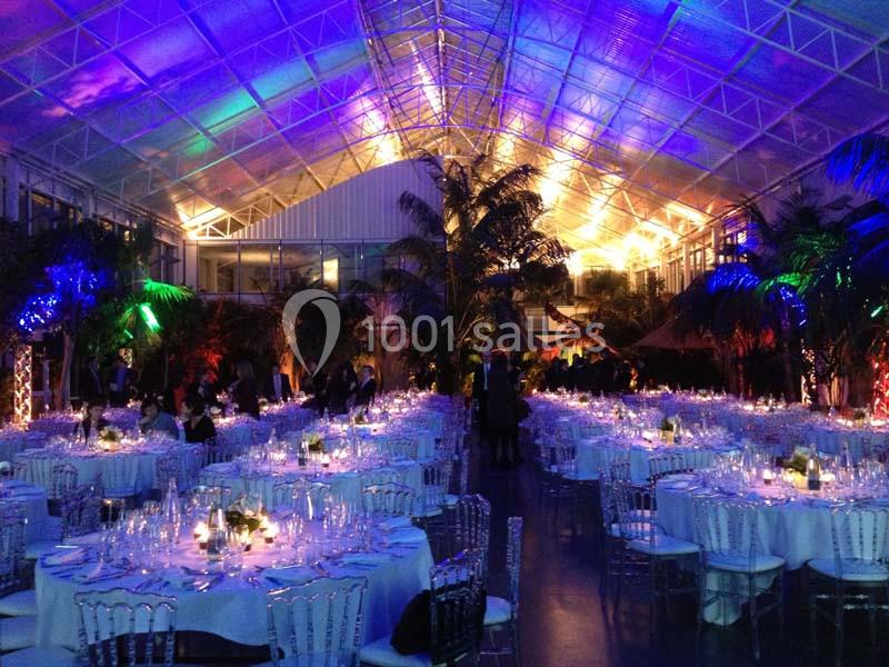 La Palmeraie de la Tour - galerie - photo 6