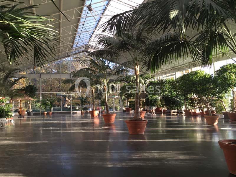 La Palmeraie de la Tour - galerie - photo 4