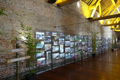 Miniature Location salle Anhée (Namur) - Ferme de l'Abbaye de Moulins #37 Vue d'un marché couvert avec des stands de produits locaux, des visiteurs et une architecture en pierre et bois.
