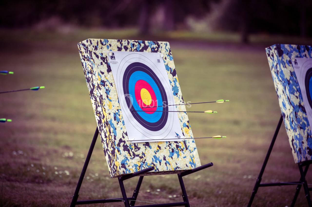 Location salle Anhée (Namur) - Ferme de l'Abbaye de Moulins #15 Cible d'archerie avec plusieurs flèches plantées, installée sur un support dans un espace extérieur herbeux.