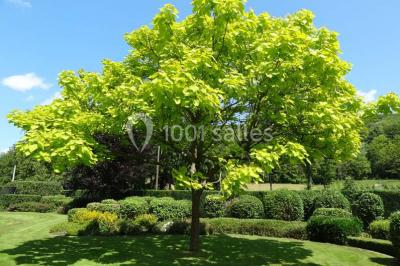 Miniature Location salle Anhée (Namur) - Ferme de l'Abbaye de Moulins #3 Vue d'un marché couvert avec des stands de produits locaux, des visiteurs et une architecture en pierre et bois.