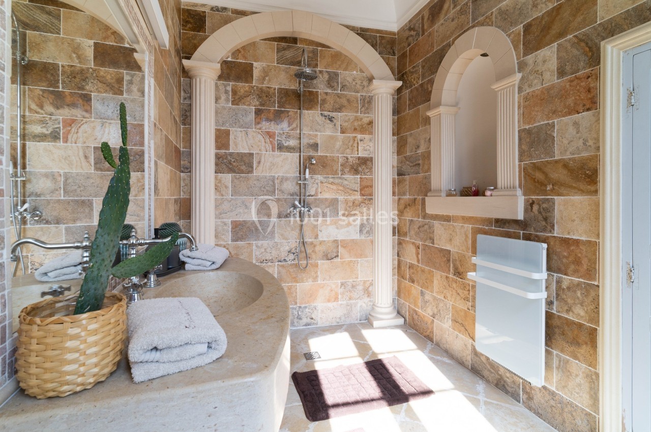 Salle de bain avec murs en pierre, douche à l'italienne, vasque en pierre, cactus décoratif et lumière naturelle.