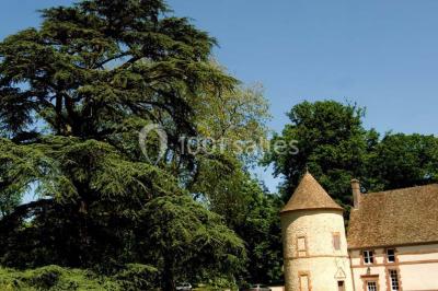 Miniature Location salle La Queue-les-Yvelines (Yvelines) - Château de la Couharde #7 Location salle La Queue-les-Yvelines (Yvelines) - Château de la Couharde #19