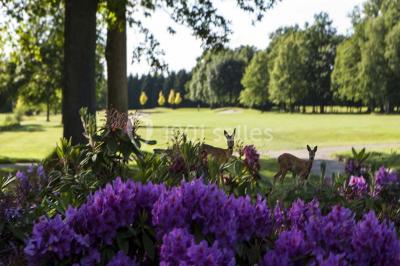 Miniature Location salle La Queue-les-Yvelines (Yvelines) - Château de la Couharde #14 Location salle La Queue-les-Yvelines (Yvelines) - Château de la Couharde #19