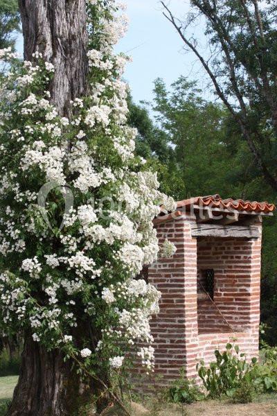 Domaine Beausoleil - galerie - photo 24