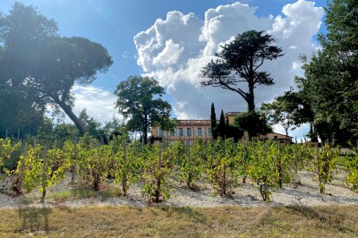 Domaine Beausoleil - photo 1