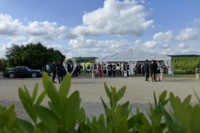 Miniature Location salle Druyes-les-Belles-Fontaines (Yonne) - Le Domaine du Bouloy #14 Location salle Druyes-les-Belles-Fontaines (Yonne) - Le Domaine du Bouloy #14