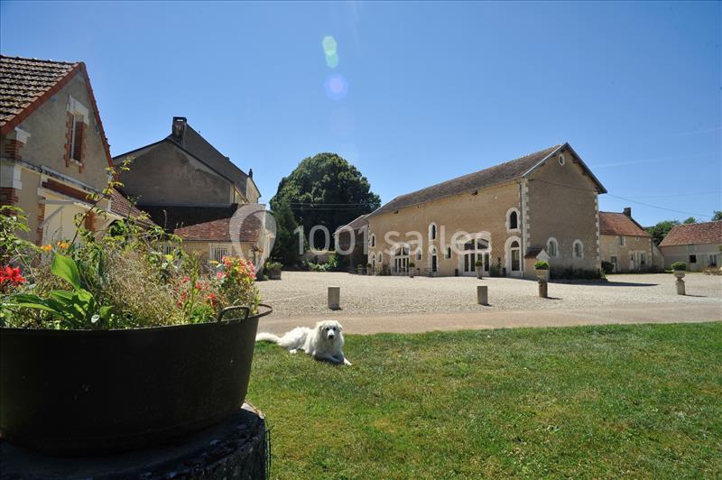 Cour d'une propriété rurale avec bâtiments en pierre, pelouse, pot de fleurs et un chien allongé au soleil.